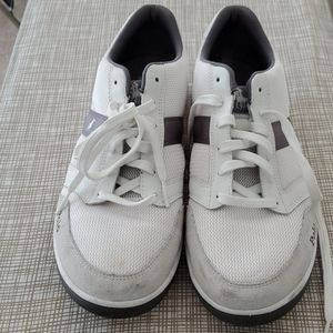 Polo shies
